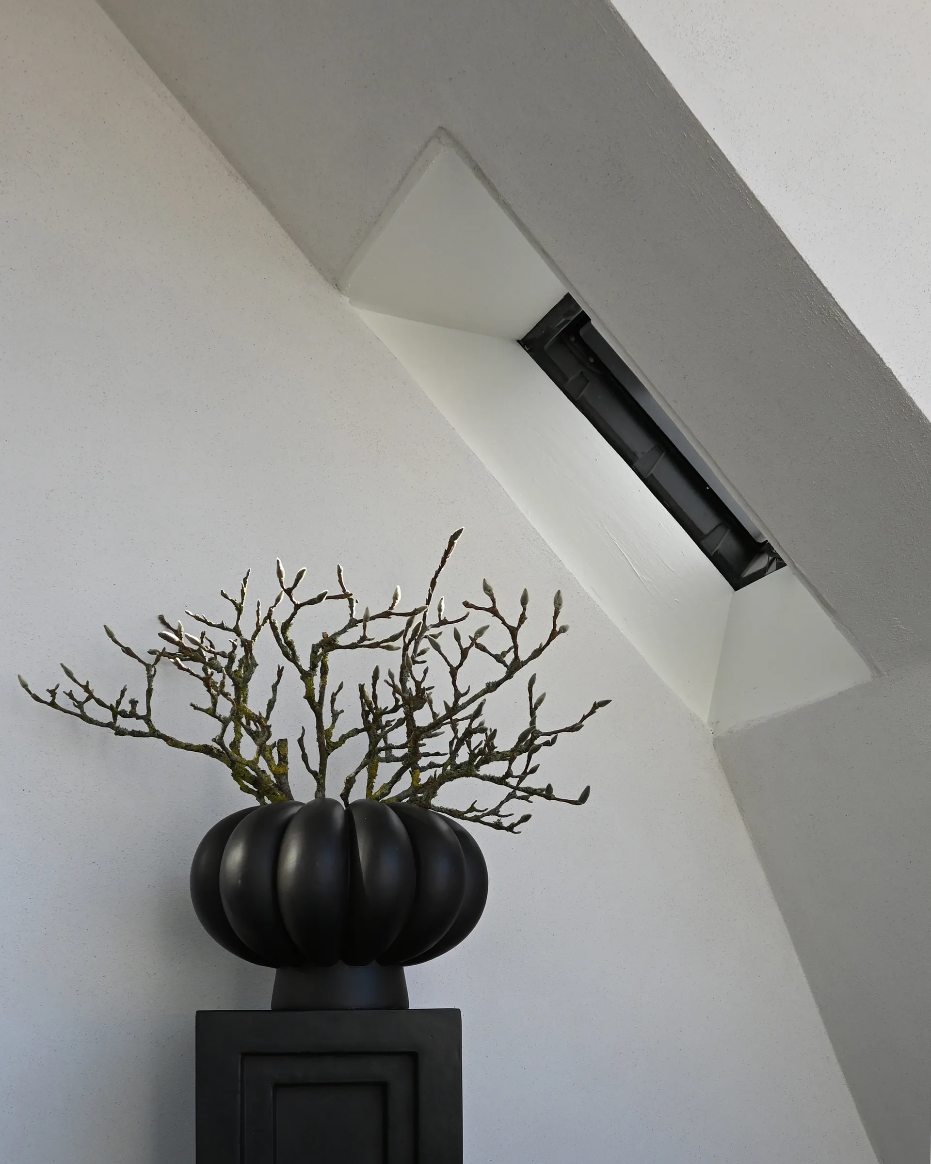 Vaso Kabin Lamella, Coffee 101 Copenhagen