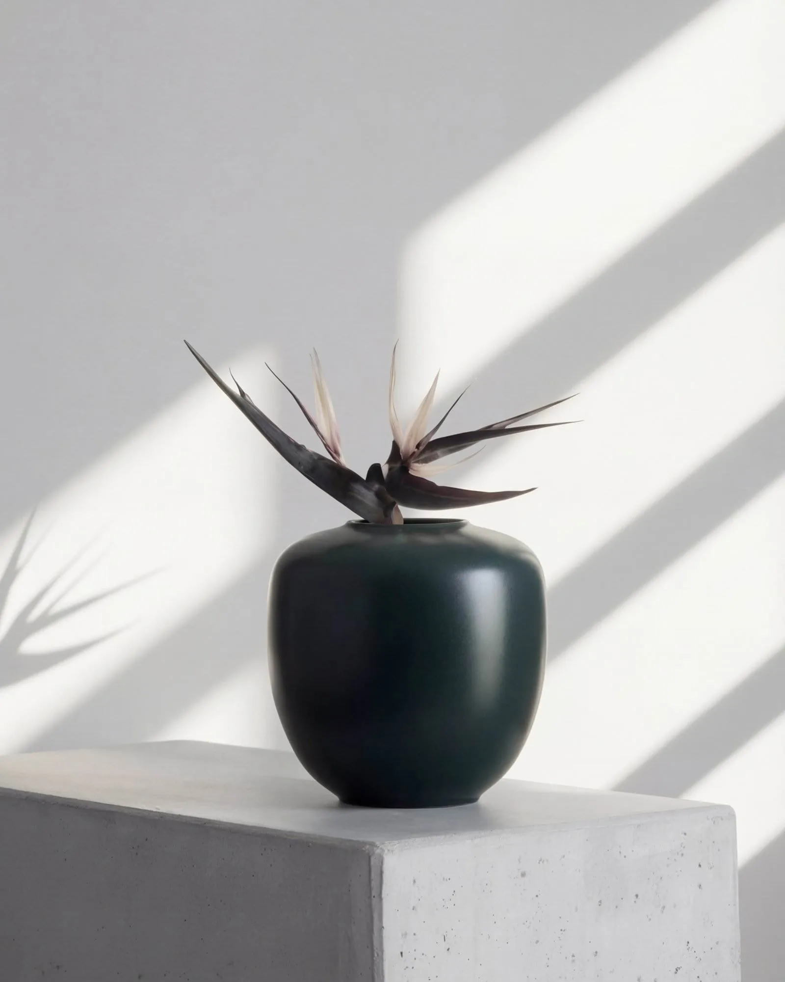 Vaso Sunao Medio 30 cm, Verde scuro 101 Copenhagen