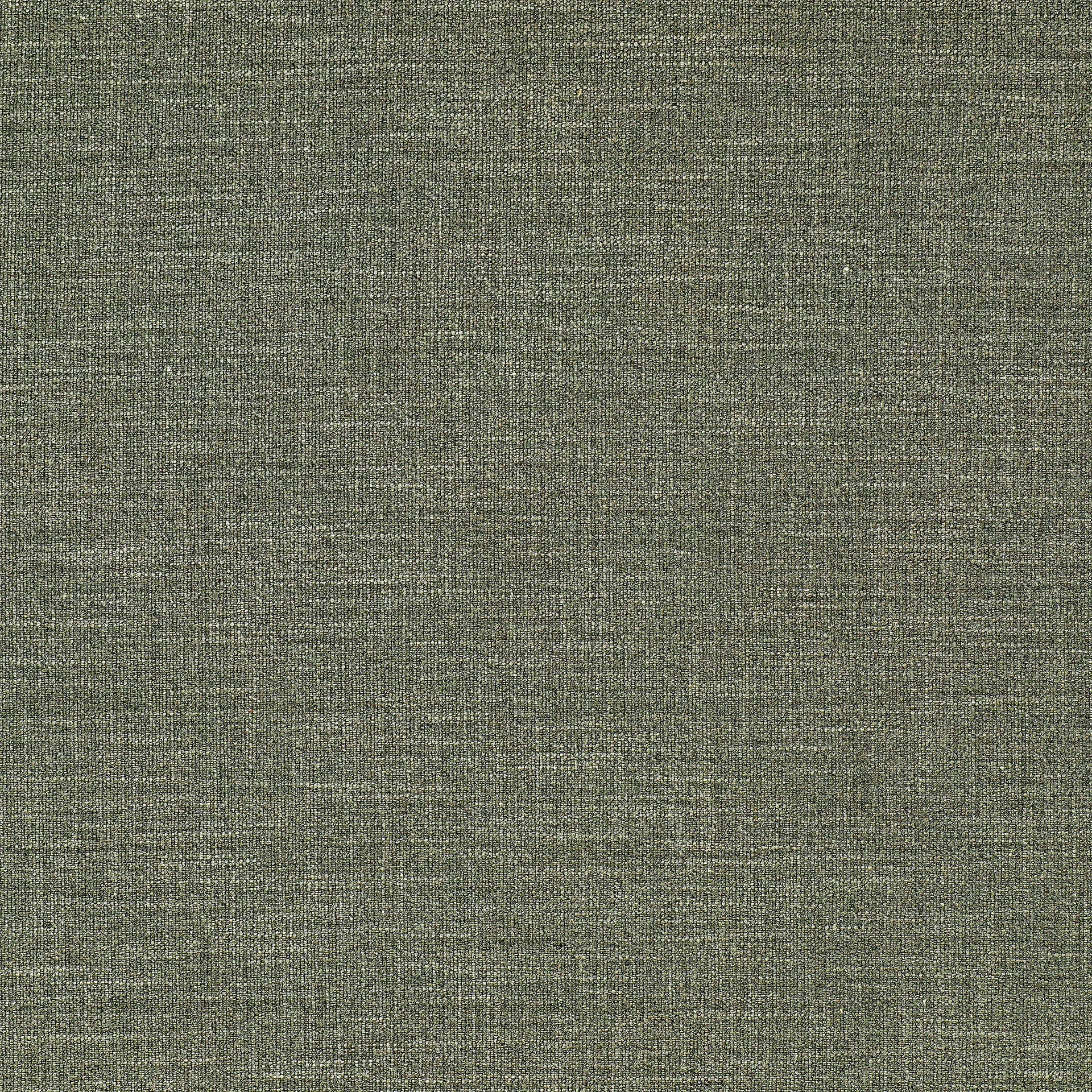 Divano letto Binga a 2,5 posti, Same Forest 6677-frassino tinto rovere 1898