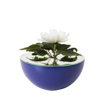 Vaso Poem - blu - A2