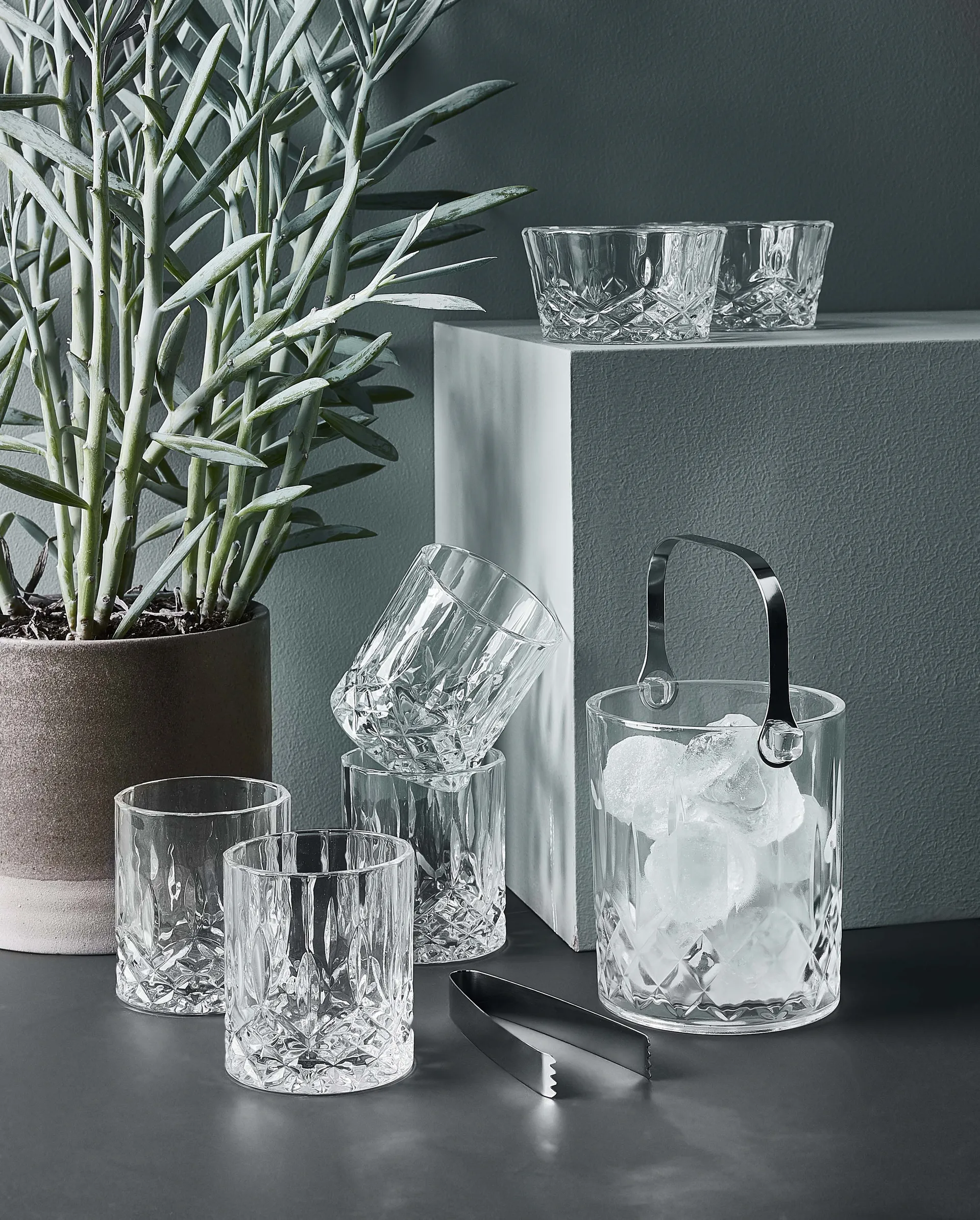 Ciotola Harvey Ø 11,5 cm confezione da 4, Trasparente Aida