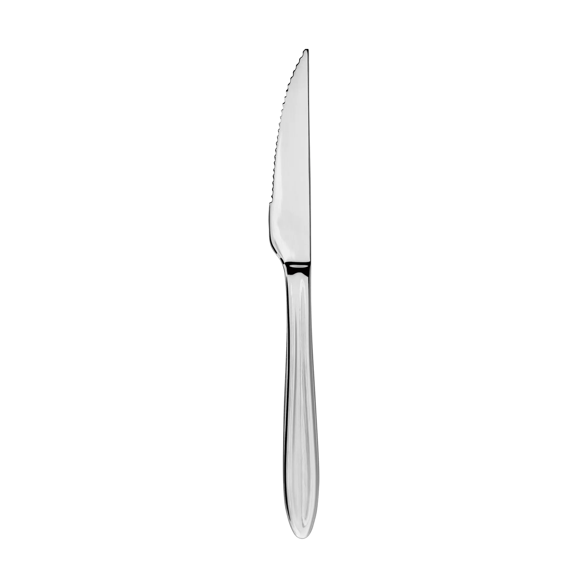 Coltello da bistecca Gastro, Acciaio inossidabile Aida