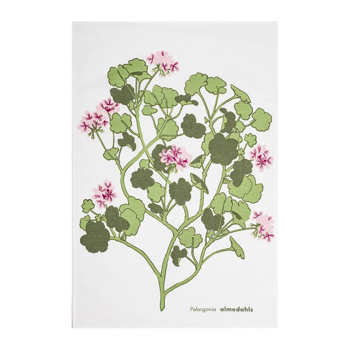 Canovaccio Pelargonia, rosa Almedahls