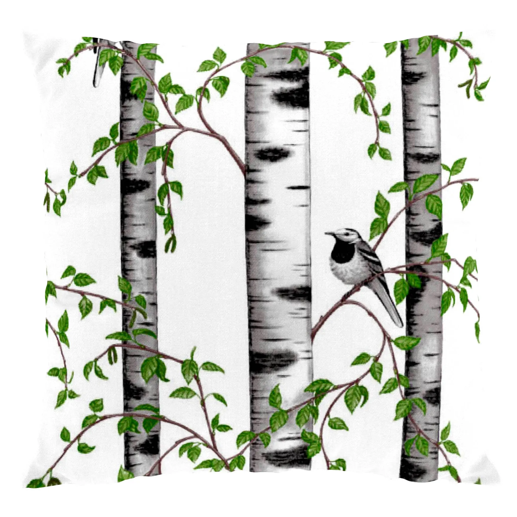 Fodera per cuscino Björkdungen, bianco Arvidssons Textil