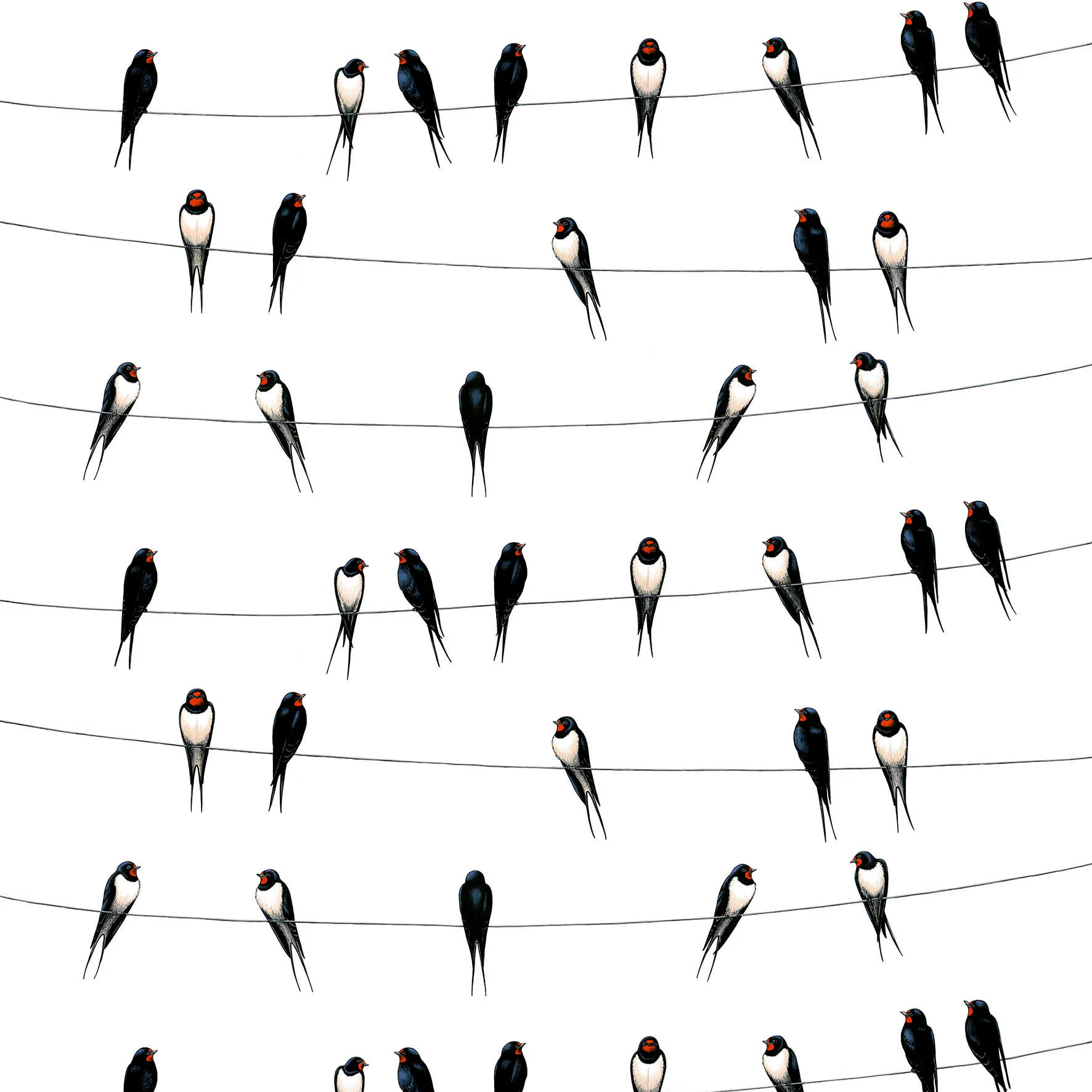 Tessuto Ladusvalor, bianco Arvidssons Textil