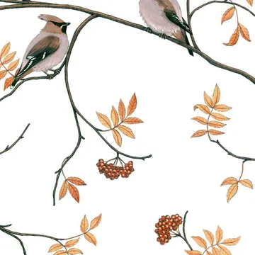 Tessuto Sidensvansar - bianco-beige - Arvidssons Textil