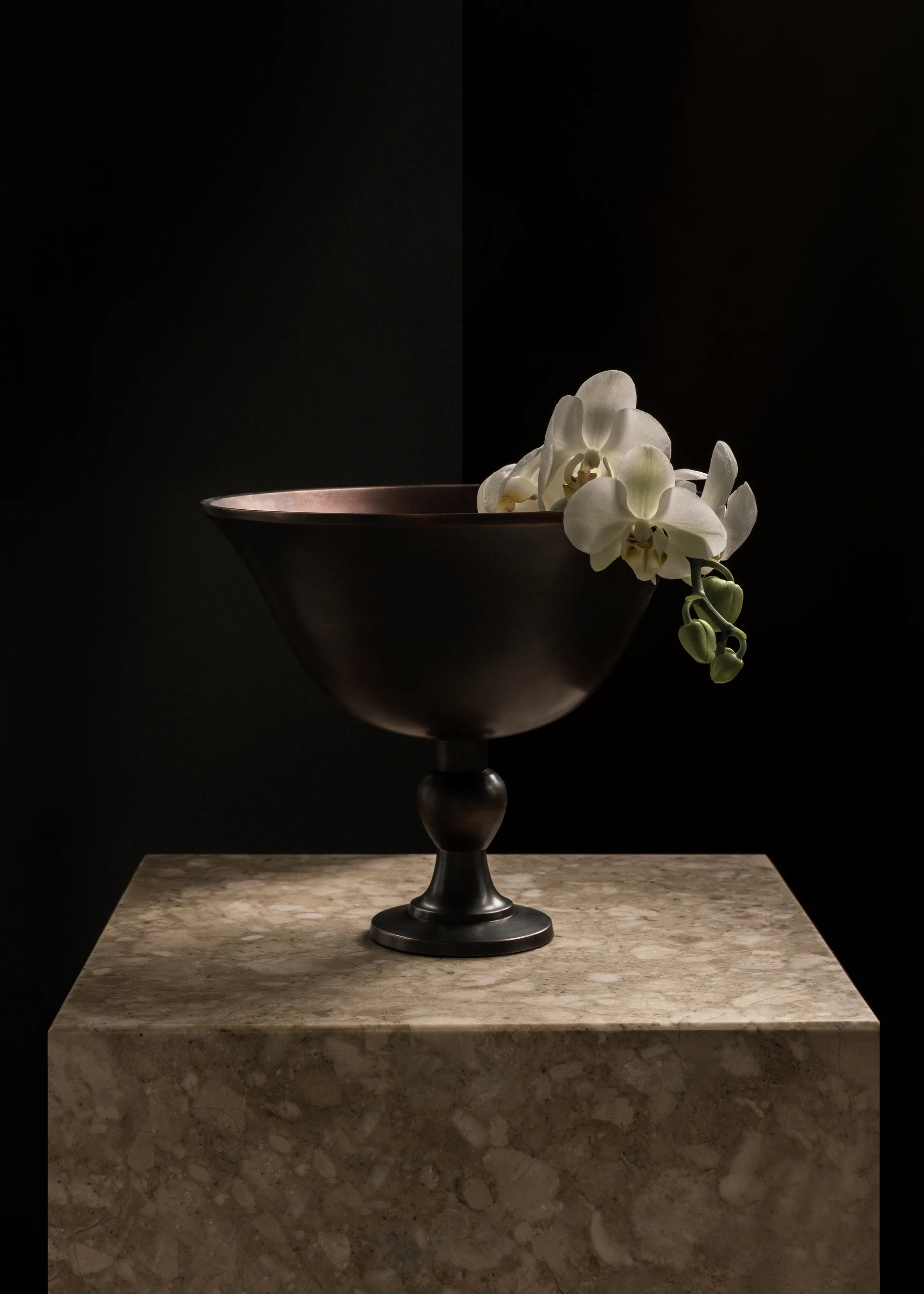 Ciotola Pavot, Marrone Audo Copenhagen