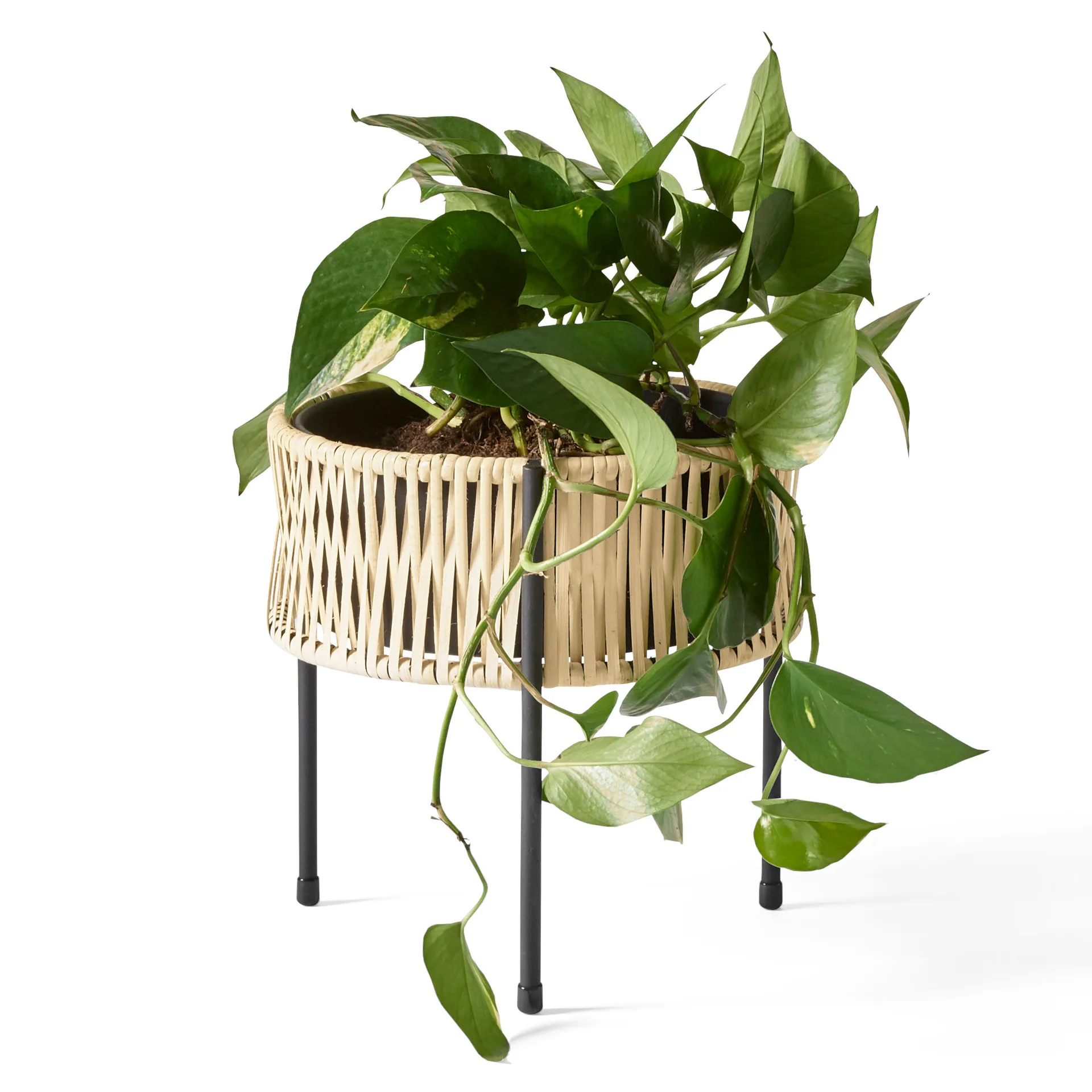 Fioriera Umanoff in acciaio rattan, 27 cm
​ Audo Copenhagen