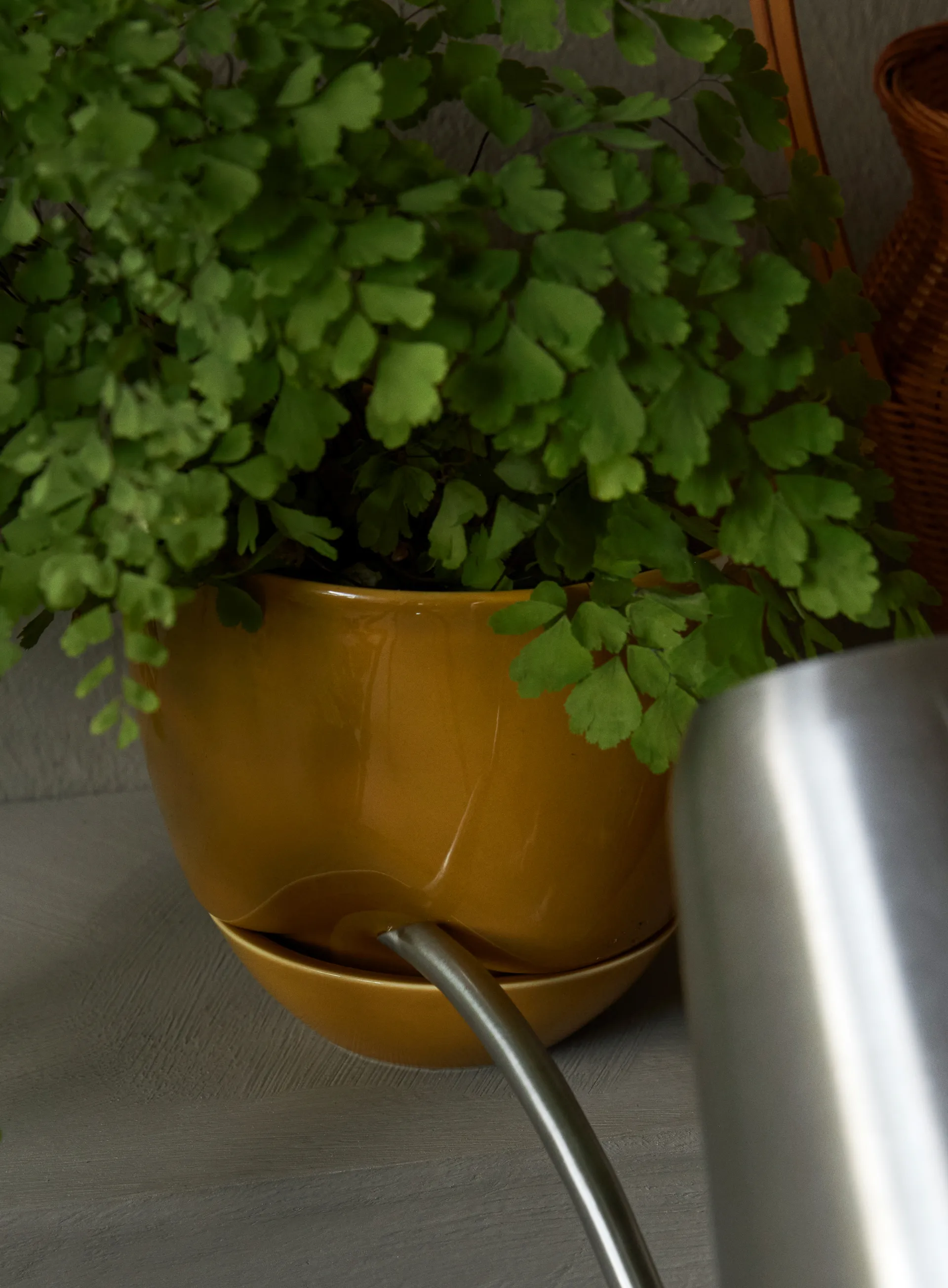 Vaso da fiori Hydrous Ø 12 cm, Ocra Audo Copenhagen