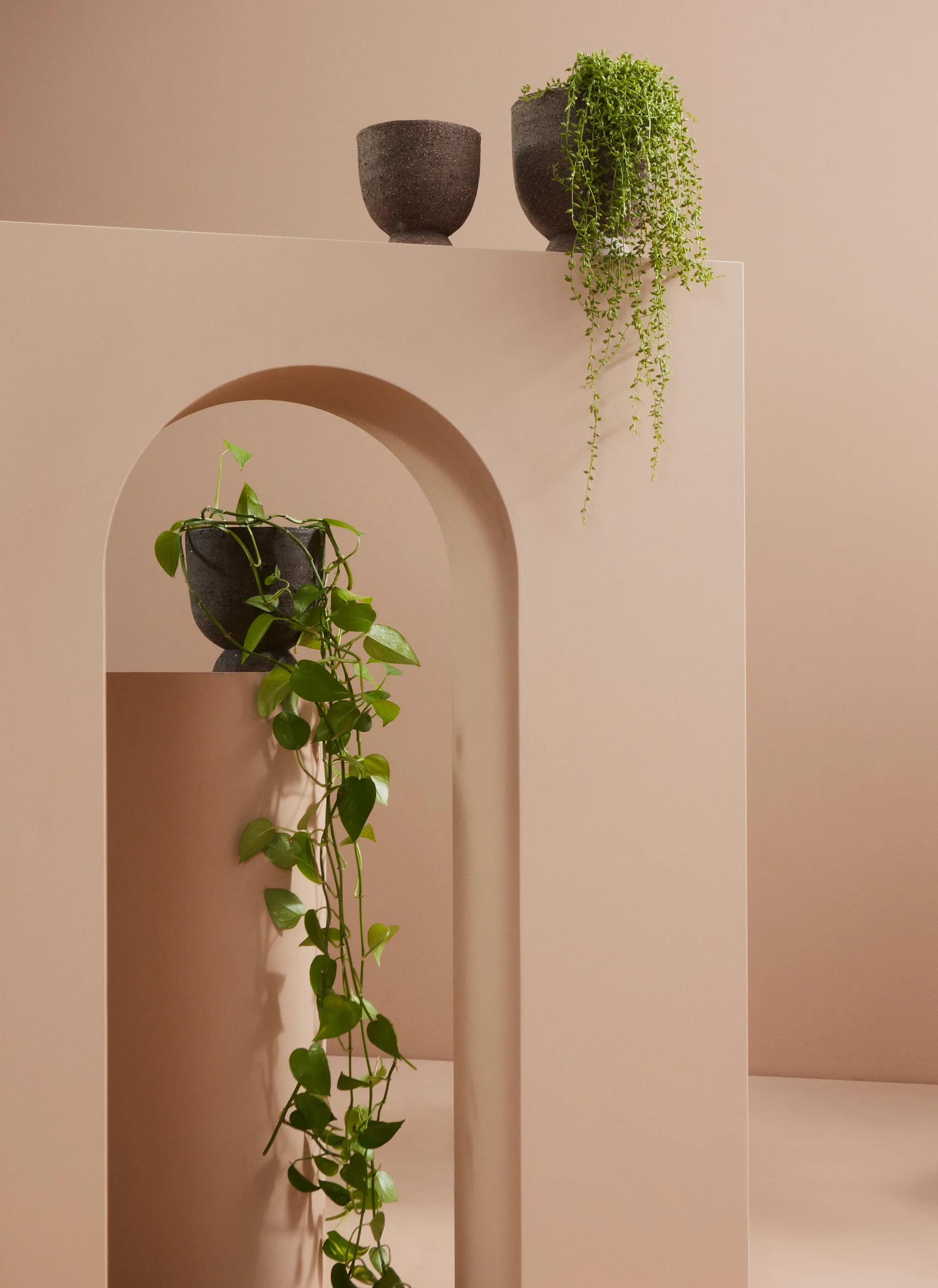 Vaso per fiori-vaso Terra Ø 15 cm, Java brown AYTM