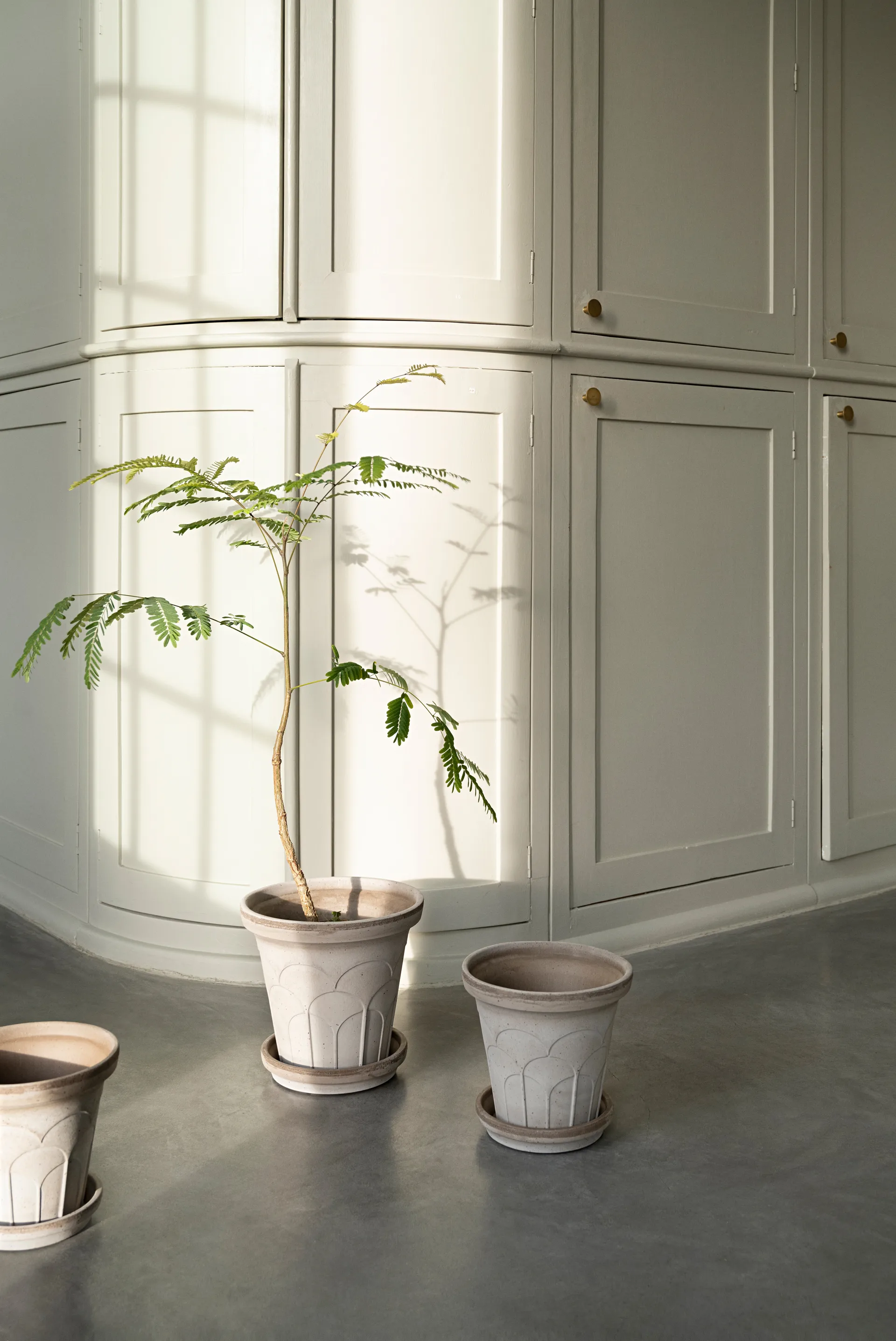 Fleur vaso con sottovaso 2 pezzi, Grey, Ø16 cm Bergs Potter