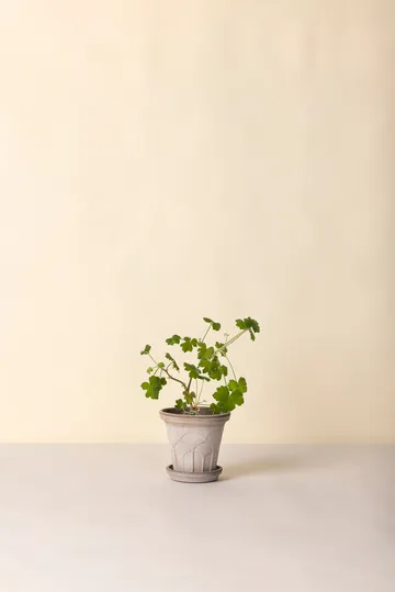 Fleur vaso con sottovaso 2 pezzi - Grey, Ø16 cm - Bergs Potter