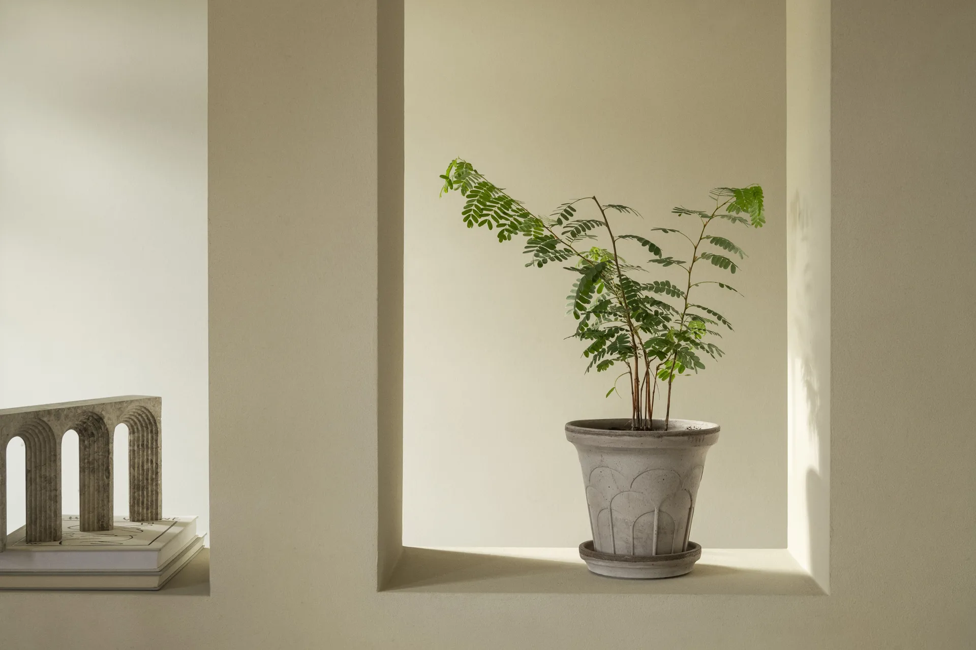 Fleur vaso con sottovaso 2 pezzi, Grigio, Ø21 cm Bergs Potter