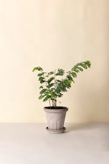 Fleur vaso con sottovaso 2 pezzi - Grigio, Ø21 cm - Bergs Potter