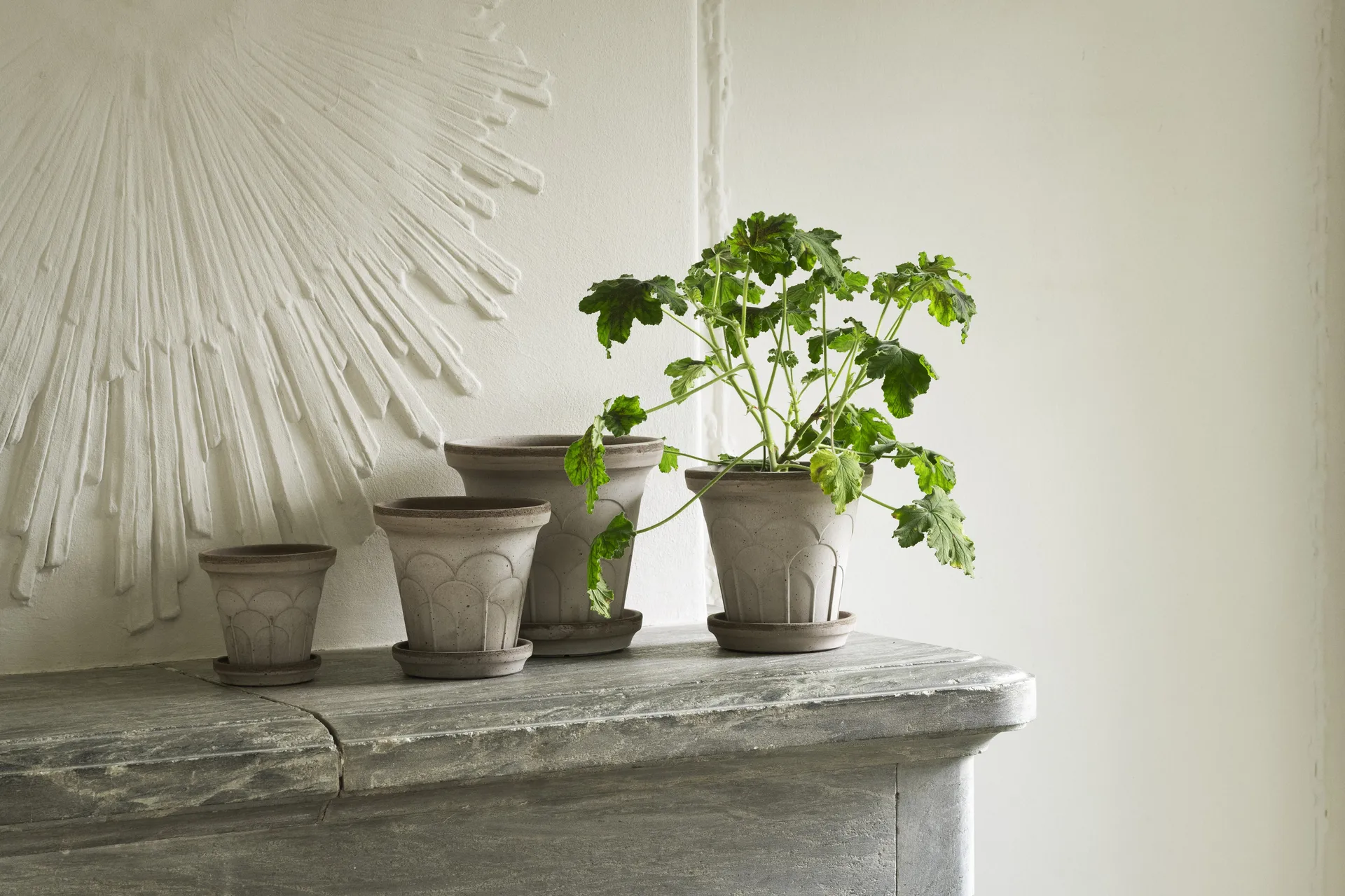 Fleur vaso con sottovaso 2 pezzi, Grigio, Ø21 cm Bergs Potter