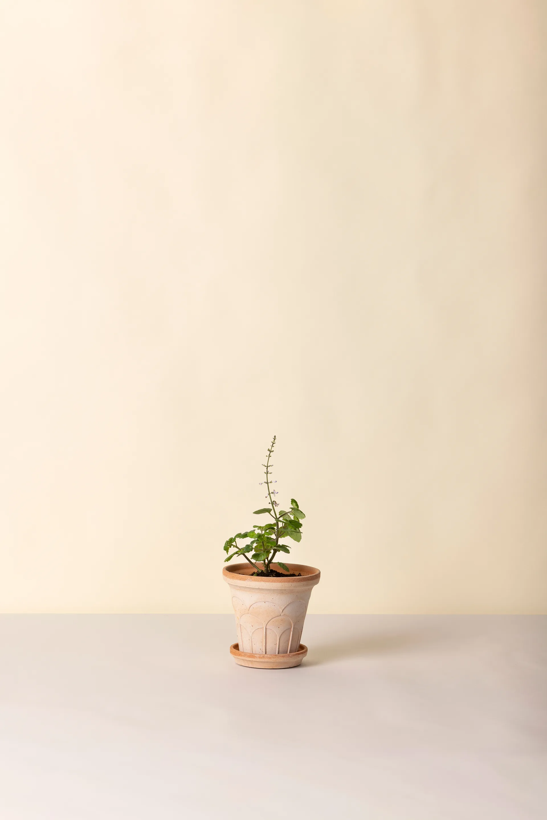 Fleur vaso con sottovaso 2 pezzi, Rosa, Ø14 m Bergs Potter