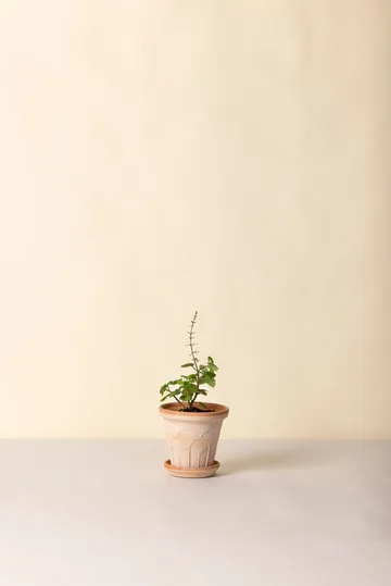 Fleur vaso con sottovaso 2 pezzi - Rosa, Ø14 m - Bergs Potter