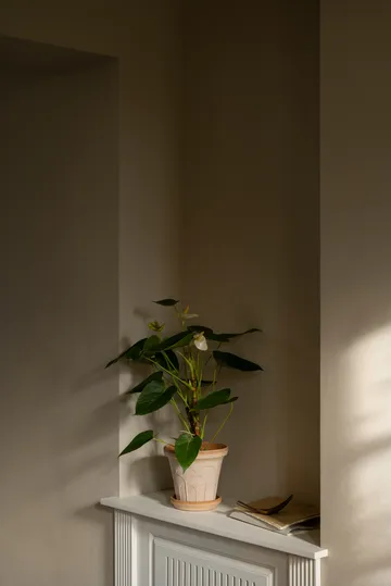 Fleur vaso con sottovaso 2 pezzi - Rosa, Ø16 cm - Bergs Potter