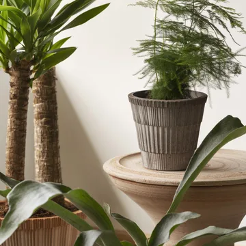 Vaso Atlas raw con sottovaso - Grigio, Ø18 cm - Bergs Potter