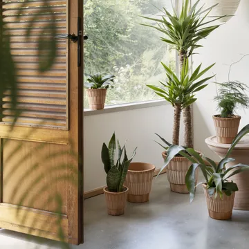 Vaso Atlas raw con sottovaso - Rosa, Ø18 cm - Bergs Potter