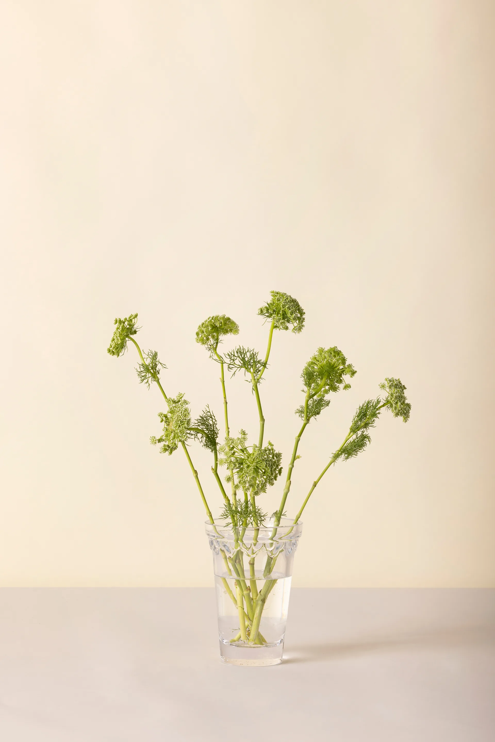 Vaso Copenaghen, Trasparente, 18,5 cm Bergs Potter