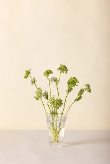 Vaso Copenaghen - Trasparente, 18,5 cm - Bergs Potter