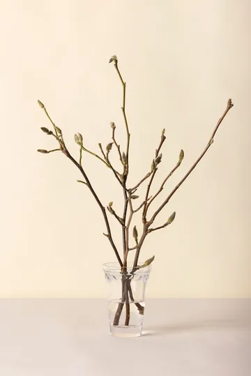 Vaso Copenaghen - Trasparente, 18,5 cm - Bergs Potter