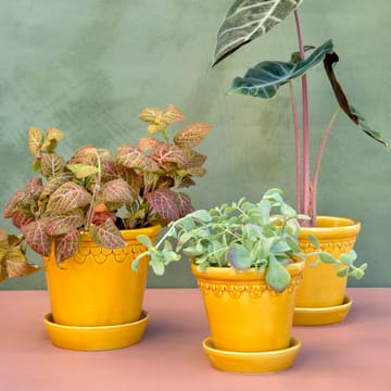 Vaso da fiori Copenhagen smaltato Ø 18 cm - Giallo - Bergs Potter