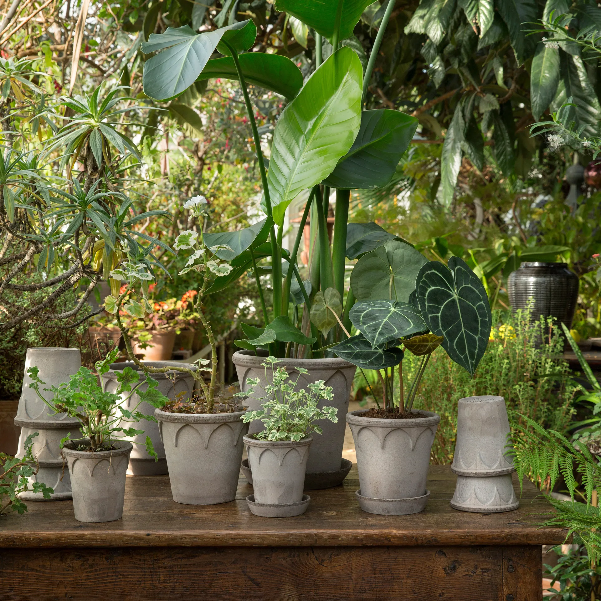 Vaso da fiori Elizabeth Ø 16 cm, Grigio Bergs Potter