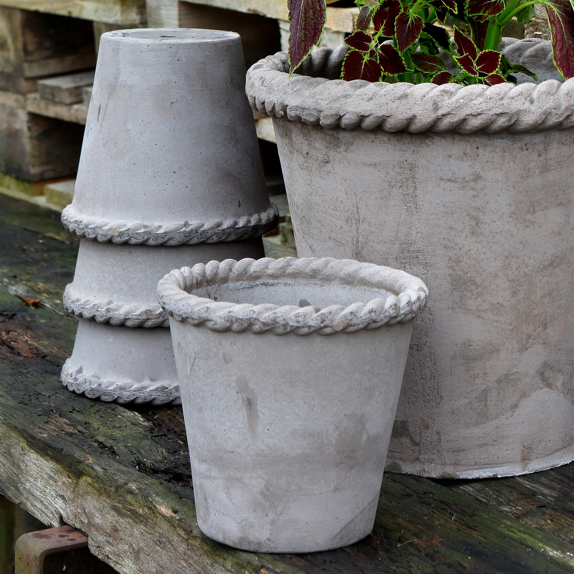 Vaso da fiori Emilia 16 cm, Grigio Bergs Potter