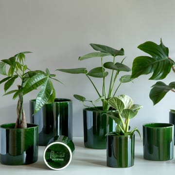 Vaso da fiori Fioriera Romeo smaltato Ø 19 cm - verde - Bergs Potter