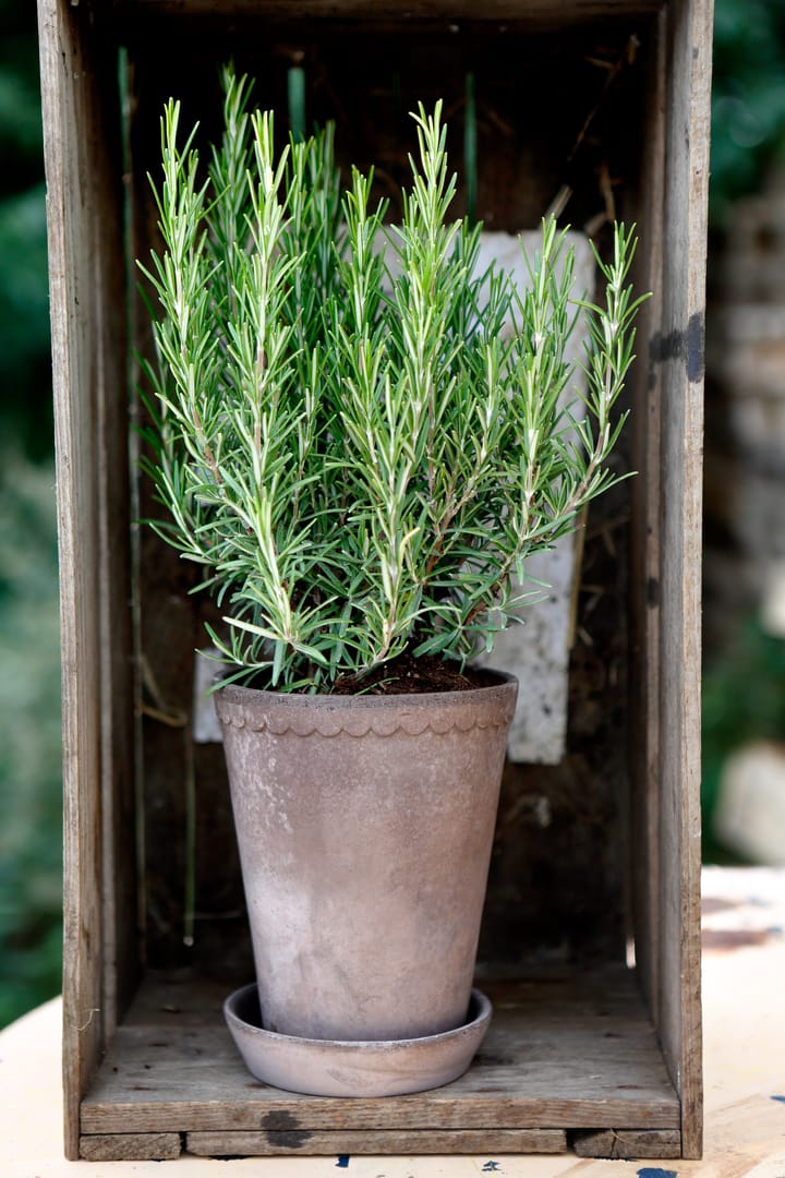 Vaso da fiori Helena Ø 14 cm, Grigio Bergs Potter