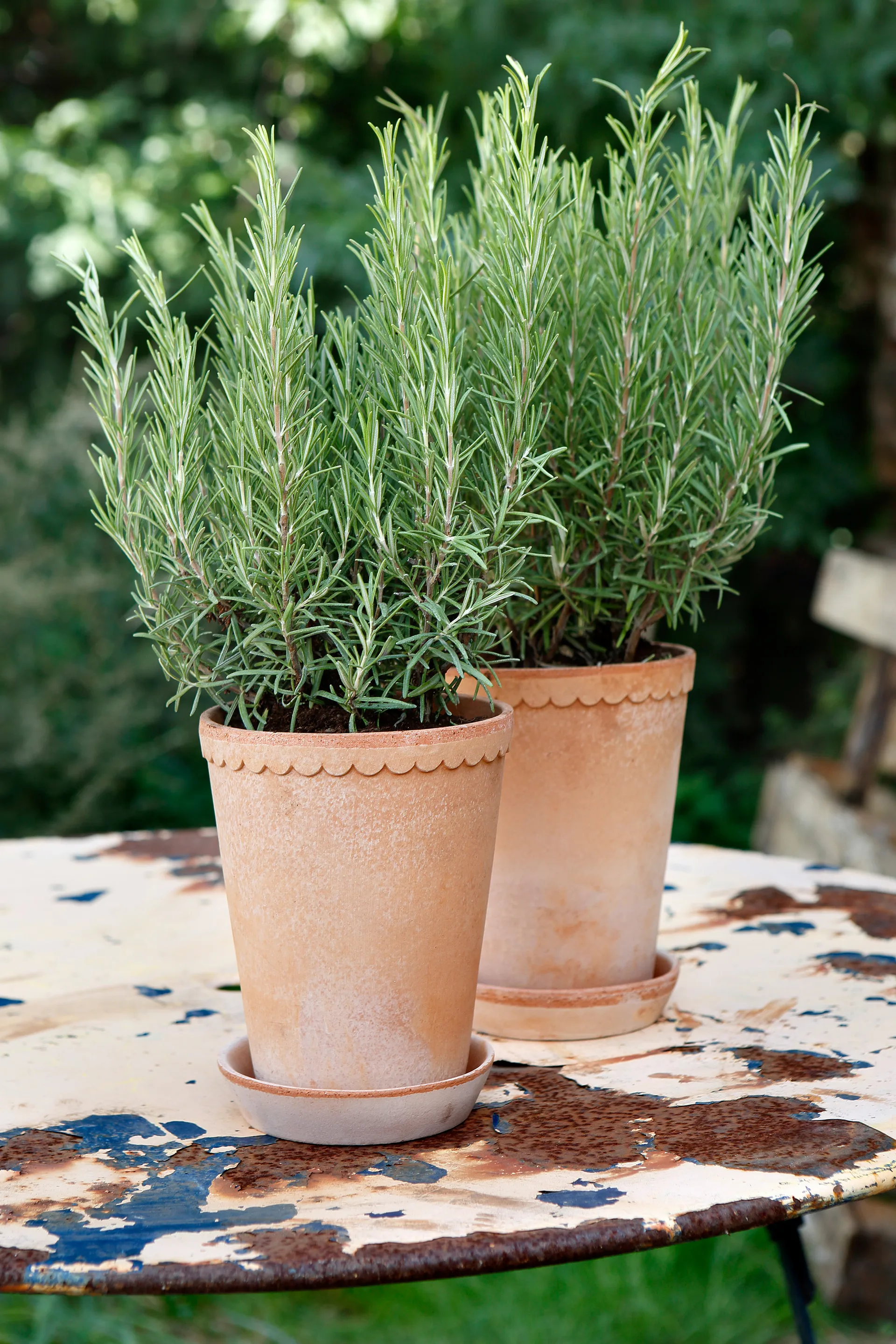 Vaso da fiori Helena Ø 14 cm, Rosa Bergs Potter