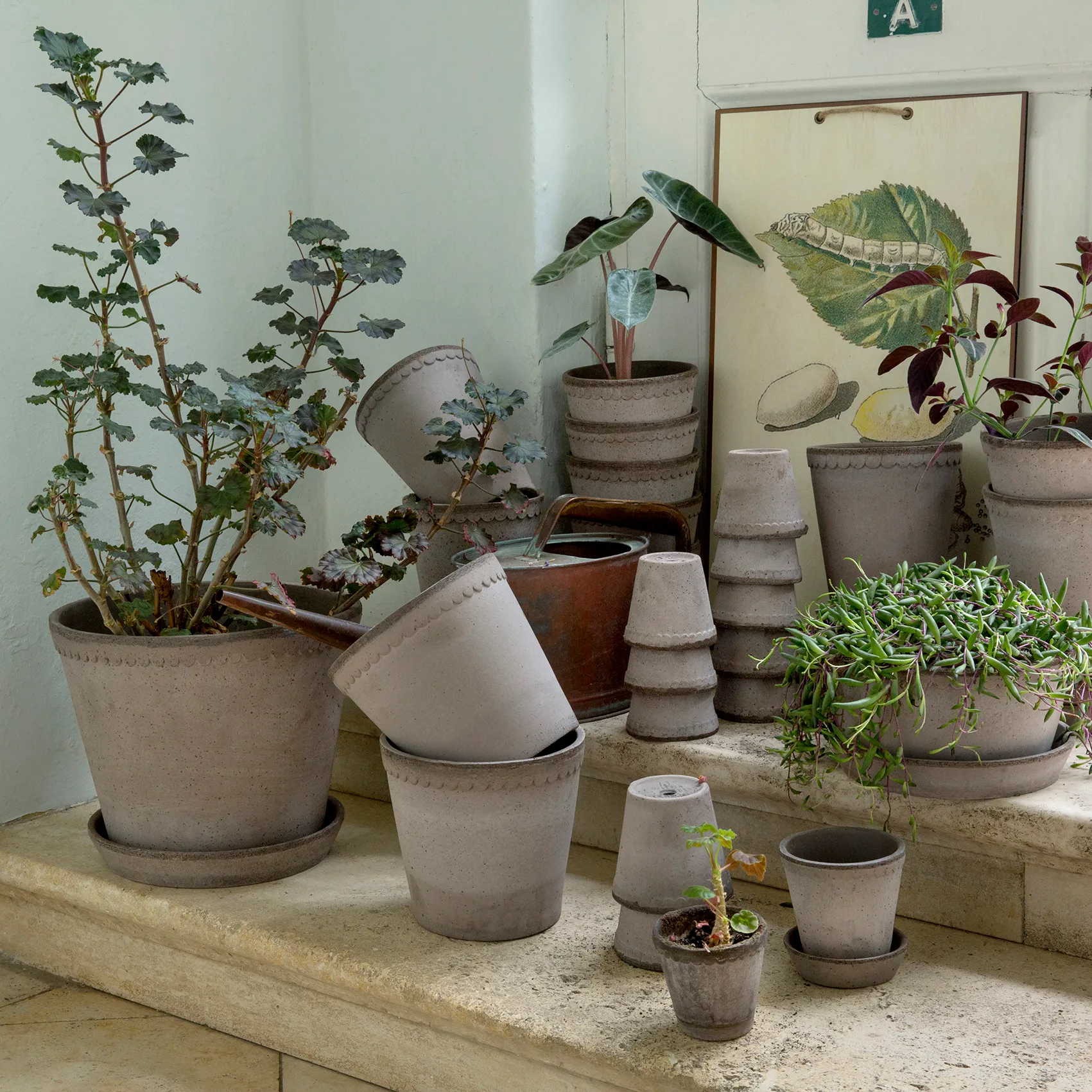 Vaso da fiori Helena Ø 16 cm, grigio Bergs Potter