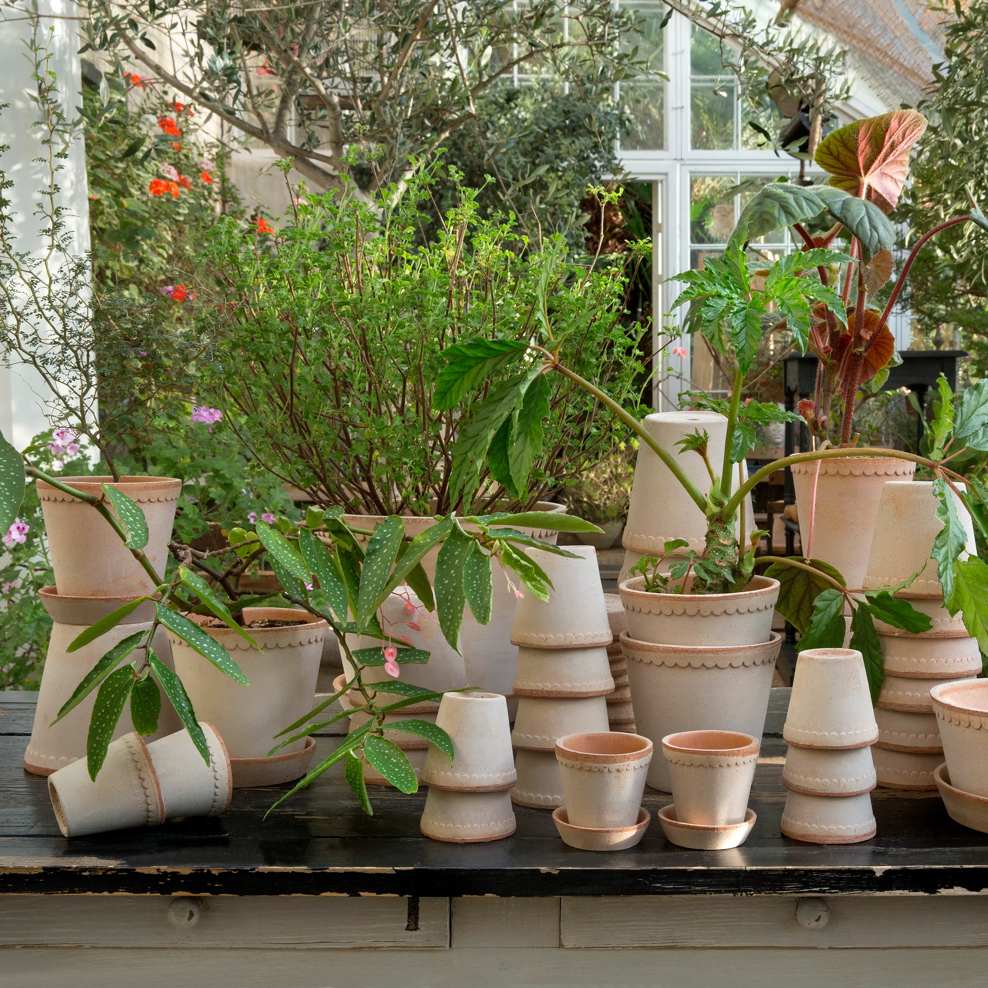 Vaso da fiori Helena Ø 16 cm, rosa Bergs Potter