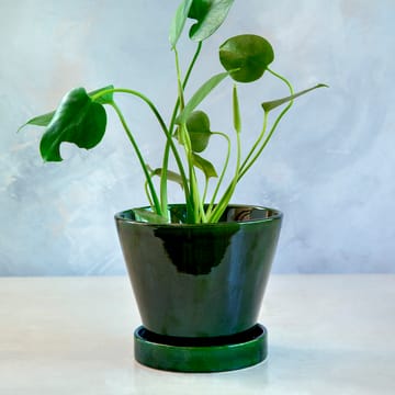 Vaso da fiori Julie smaltato Ø 19 cm - Green emerald - Bergs Potter