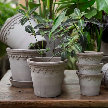 Vaso da fiori Københavner Ø 16 cm - Grigio - Bergs Potter