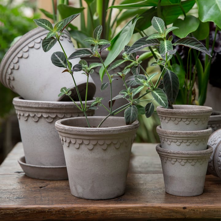 Vaso da fiori Københavner Ø 16 cm, Grigio Bergs Potter