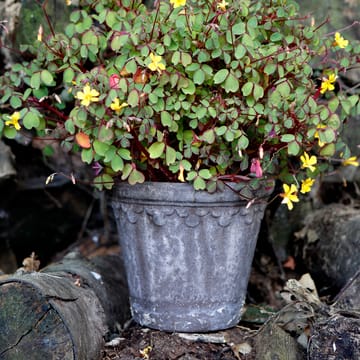 Vaso da fiori Københavner Ø 16 cm - Grigio - Bergs Potter