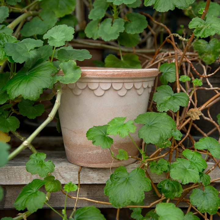 Vaso da fiori Københavner Ø 16 cm, Rosa Bergs Potter