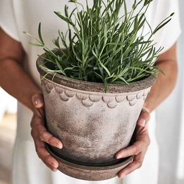 Vaso da fiori Københavner 21 cm - Grigio - Bergs Potter