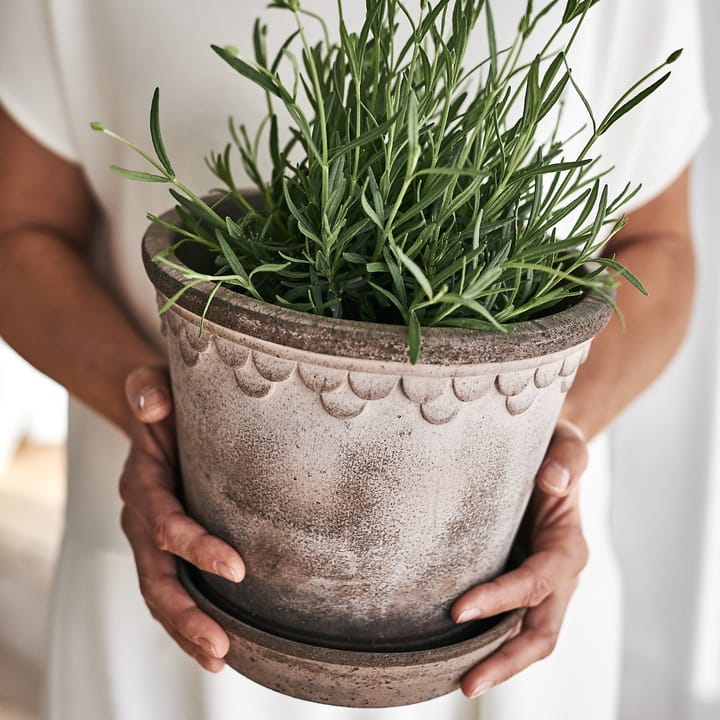 Vaso da fiori Københavner 21 cm, Grigio Bergs Potter