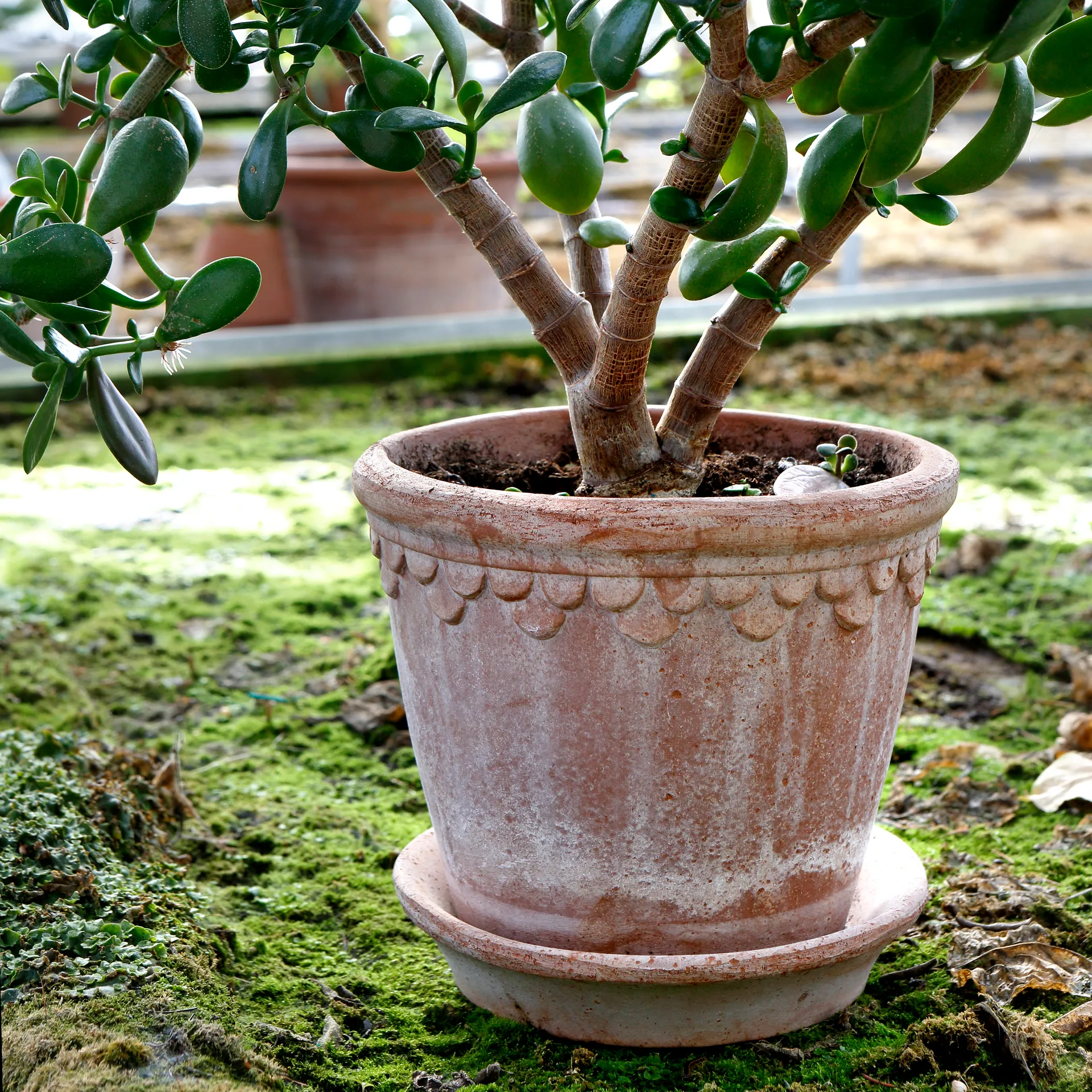 Vaso da fiori Københavner 21 cm, Rosa Bergs Potter