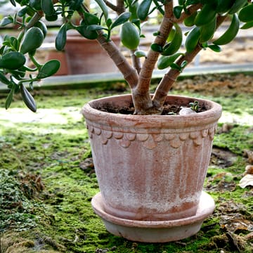 Vaso da fiori Københavner 21 cm - Rosa - Bergs Potter