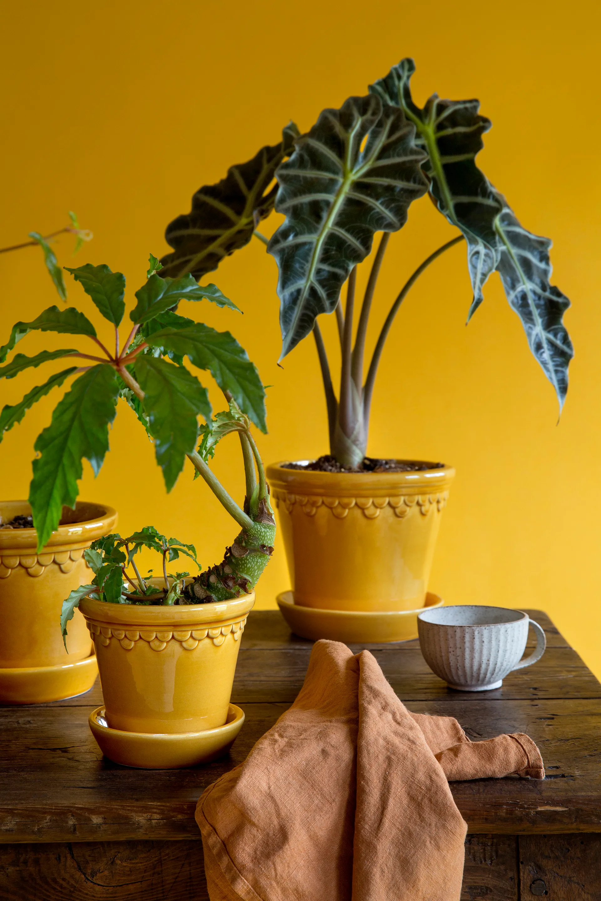 Vaso da fiori Københavner smaltato Ø 18 cm, Giallo Bergs Potter