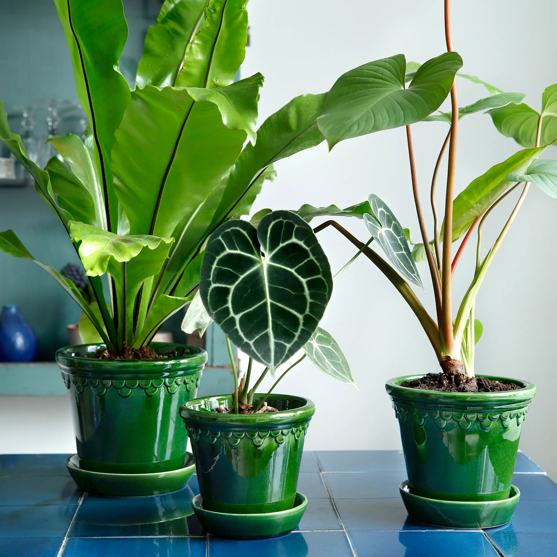 Vaso da fiori Københavner smaltato Ø 18 cm, Verde Bergs Potter