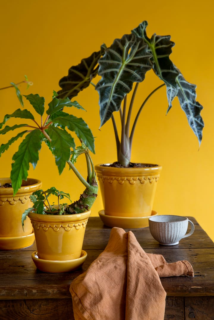Vaso da fiori Københavner smaltato Ø 21 cm, giallo Bergs Potter