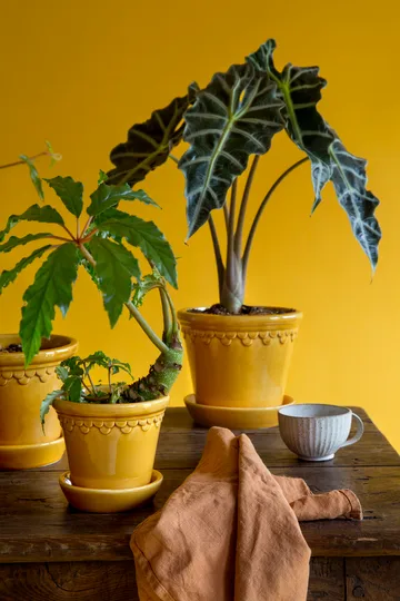 Vaso da fiori Københavner smaltato - Giallo, Ø12 cm - Bergs Potter