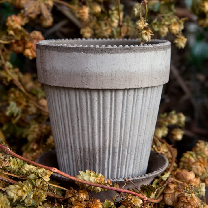 Vaso da fiori Simona 14 cm, Grigio Bergs Potter