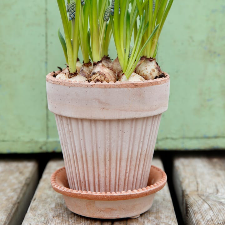 Vaso da fiori Simona 14 cm - Rosa - Bergs Potter